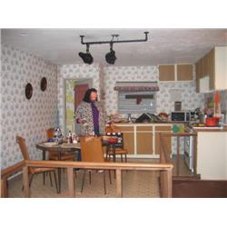 Set/scene/props: Includes kitchen items