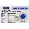 Image 4 : 9.40ct Oval Cut Blue Sapphire Gemstone GGL