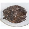 Image 1 : 1629-1676 Russian Aleksey Mikhailovich Copper Coin