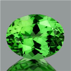 Natural Chrome Green Tsavorite Garnet {VVS}