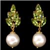 Image 1 : Natural Green Peridot & Japanese  Pearl Earrings