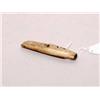 Image 1 : Ancient Fossil Ivory Runner