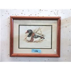 Joel Kirk Framed Print - Duck