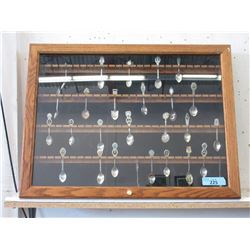 Wood and Glass Collector  Spoon Display Case