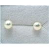 Image 1 : New 10KT Yellow Gold Pearl Stud Earrings