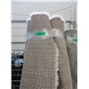 Image 1 : Ivory Shag  Area Carpet - 6 Feet x 8 Feet