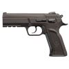 Image 1 : Italian Firearms Group Defiant Force Plus 9, Tangfolia