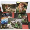 Image 1 : LOT OF FIVE 16X20 TIGER POSTERS.