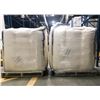 Image 1 : 13 PALLETS OF POWDERED MUNG BEANS