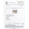 Image 5 : 2) 14K WHITE GOLD DIAMOND SOLITAIRE RING,
