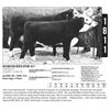Image 1 : Frank Herefords - 1811F