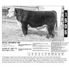 Image 1 : Frank Herefords - 1906F