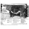 Image 1 : Sidwell Land & Cattle Co - 1923S