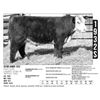 Image 1 : Sidwell Land & Cattle Co - 1932S