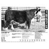 Image 1 : Sidwell Land & Cattle Co - 1957S