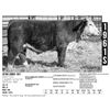 Image 1 : Sidwell Land & Cattle Co - 1961S
