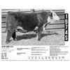 Image 1 : Sidwell Land & Cattle Co - 1974S