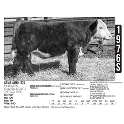 Sidwell Land & Cattle Co - 1976S