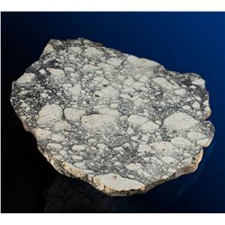 Northwest Africa 5000 Lunar Meteorite Slice