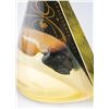 Image 3 : Apollo 8 Flown Heat Shield Ablator