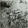 Image 2 : Apollo 12 Crew Signed Photograph