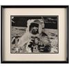 Image 2 : Alan Bean