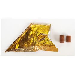 Apollo 13 Flown Mylar and Ablative Plugs