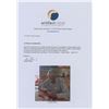 Image 3 : Charlie Duke Signed Parachute