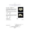 Image 5 : 2.14 Diamond Ring - 10KT yellow Gold