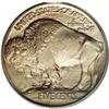 Image 2 : 1913 5C Type One PR65 PCGS. In his book The Complete G