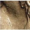 Image 3 : 1876 50C --Misplaced Mint Mark, Cleaned--ANACS. Impaire
