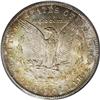 Image 2 : 1885-CC S$1 MS66 PCGS. This 1885-CC Morgan dollar disp