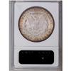 Image 2 : 1892-CC S$1 MS63 ANACS. This is a wonderful example wi