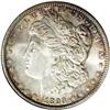 Image 1 : 1893 S$1 MS64 NGC. Speckles of russet, honey-gold, and