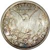 Image 2 : 1893 S$1 MS64 NGC. Speckles of russet, honey-gold, and