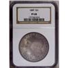Image 3 : 1889 S$1 PR68 NGC. All of the Proof Morgan silver doll