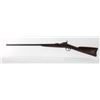 Image 4 : U.S. Springfield 1881 Forager Shotgun