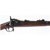 Image 1 : U.S. Springfield 1873 Trapdoor Rifle