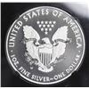 Image 2 : 2013 TWO PC SET AMERICAN SILVER EAGLE