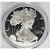 Image 1 : 1996-P AMERICAN SILVER EAGLE