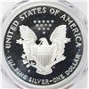 Image 2 : 1996-P AMERICAN SILVER EAGLE