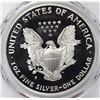 Image 2 : 1999-P AMERICAN SILVER EAGLE