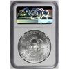Image 2 : 2019 AMERICAN SILVER EAGLE