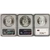 Image 2 : NGC GRADED MS 69 AMERICAN SILVER EAGLES