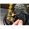 Image 8 : 5 PCE COUNTRY ARTIST FOR THE DISCERNING "THE NATURAL WORLD" BUDGIES (BROKEN WING PIECE WITH