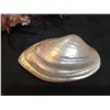 Image 2 : GROUP OF 5 SHELLS WITH BLOWN GLASS HERMIT CRABS