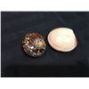 Image 3 : GROUP OF 5 SHELLS WITH BLOWN GLASS HERMIT CRABS