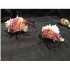 Image 4 : GROUP OF 5 SHELLS WITH BLOWN GLASS HERMIT CRABS