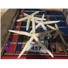 Image 5 : SHELF LOT OF ASSORTED NAUTICAL THEMED ITEMS, CHRISTMAS ORNAMENTS & SPRING & FALL DECORATIVE ITEMS