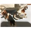 Image 2 : GROUP OF 3 BEAGLE ORNAMENTS